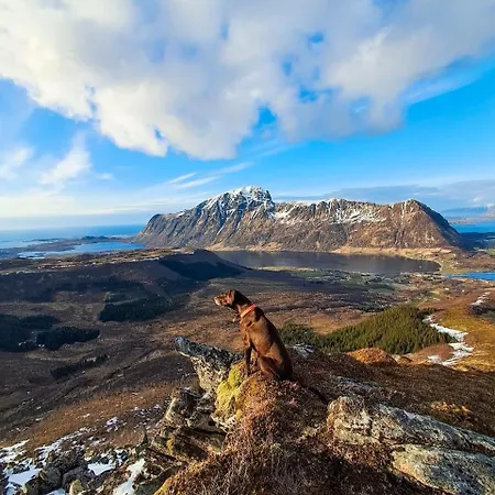 Your Lofoten Base, Quiet & Well Located Basement 아파트 Vestvagoy