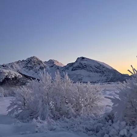 Your Lofoten Base, Quiet & Well Located Basement