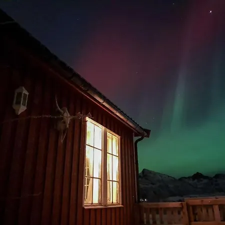 Your Lofoten Base, Quiet & Well Located Basement Vestvagoy